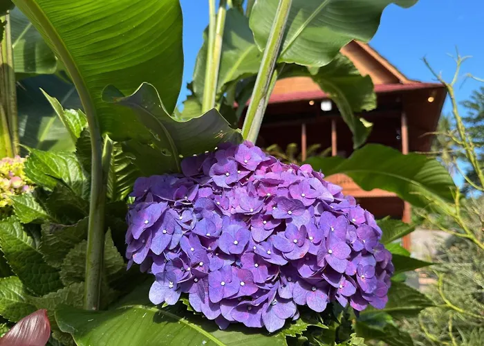 Seming Lodge Munduk